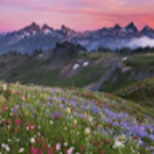 Meet your Posher, Kylie